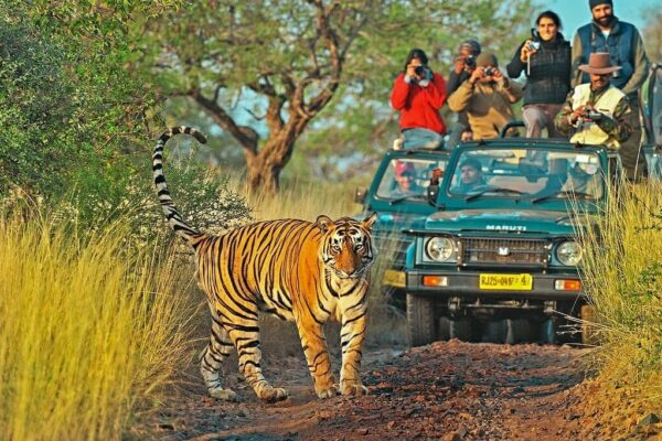 1 Night 2 Days Ranthambore Tour Package